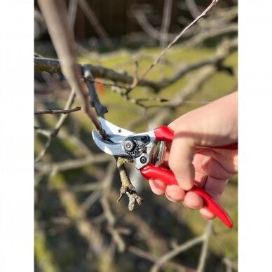 Secateurs with chrome plated blade 210mm SAMURAI KS-4 4